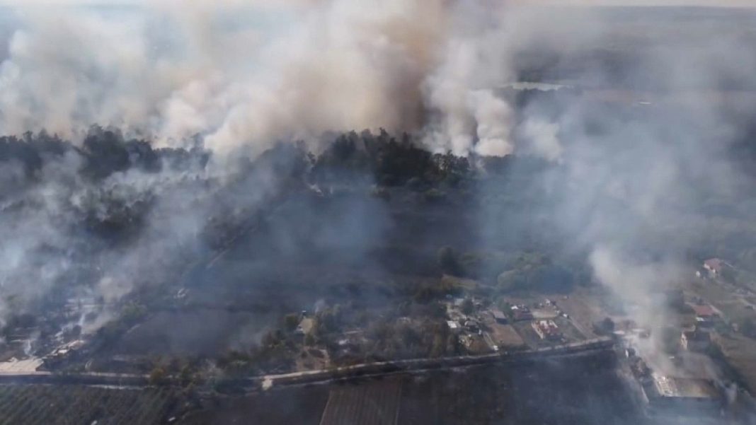 Huertos frutales destruidos por un gran incendio en el norte de Rumanía
