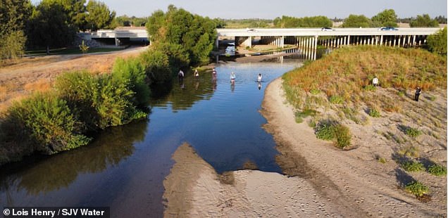 Indignación por la desaparición repentina de un río en California tras una controvertida sentencia judicial... dejando miles de peces muertos
