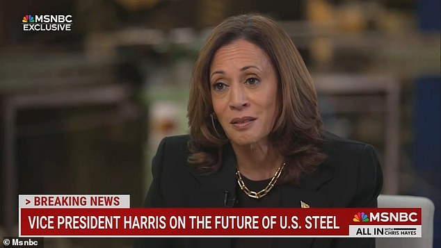 Kamala Harris desconcertada por una pregunta sobre un aspecto crucial de su política económica durante una entrevista en MSNBC
