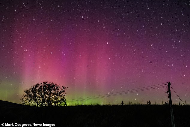 Las luces del norte, también conocidas como auroras boreales, brillan en el viaducto de Ribblehead, Ribblehead, Yorkshire, Inglaterra, el 13 de septiembre de 2024