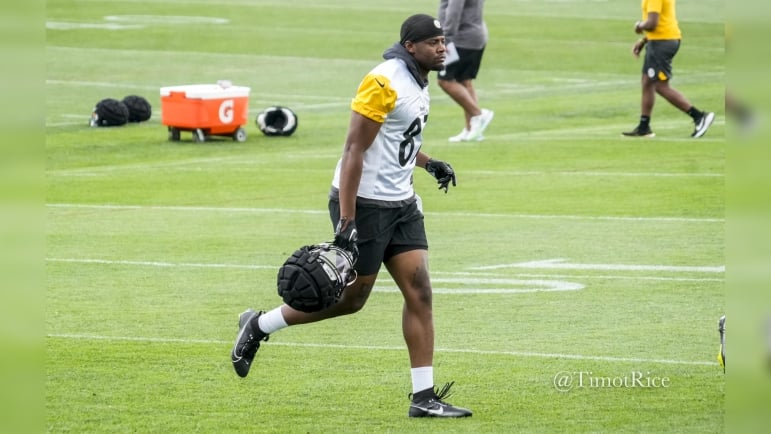 Rodney Williams Pittsburgh Steelers training camp