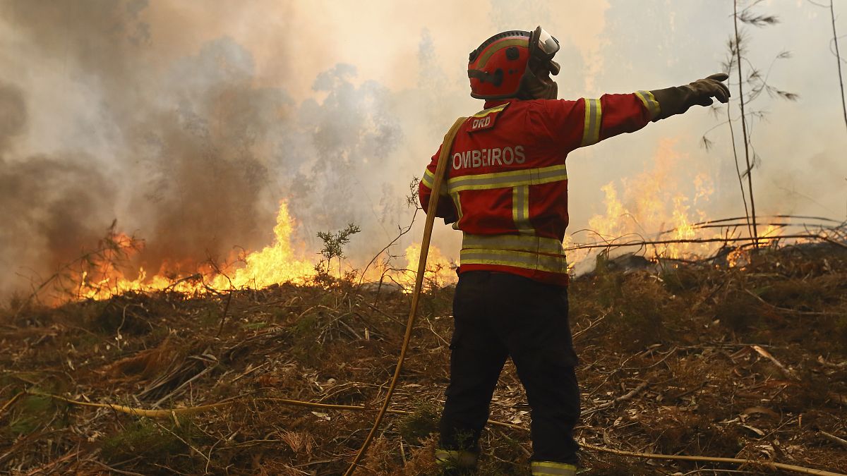 Miles de bomberos luchan contra los incendios en Portugal
