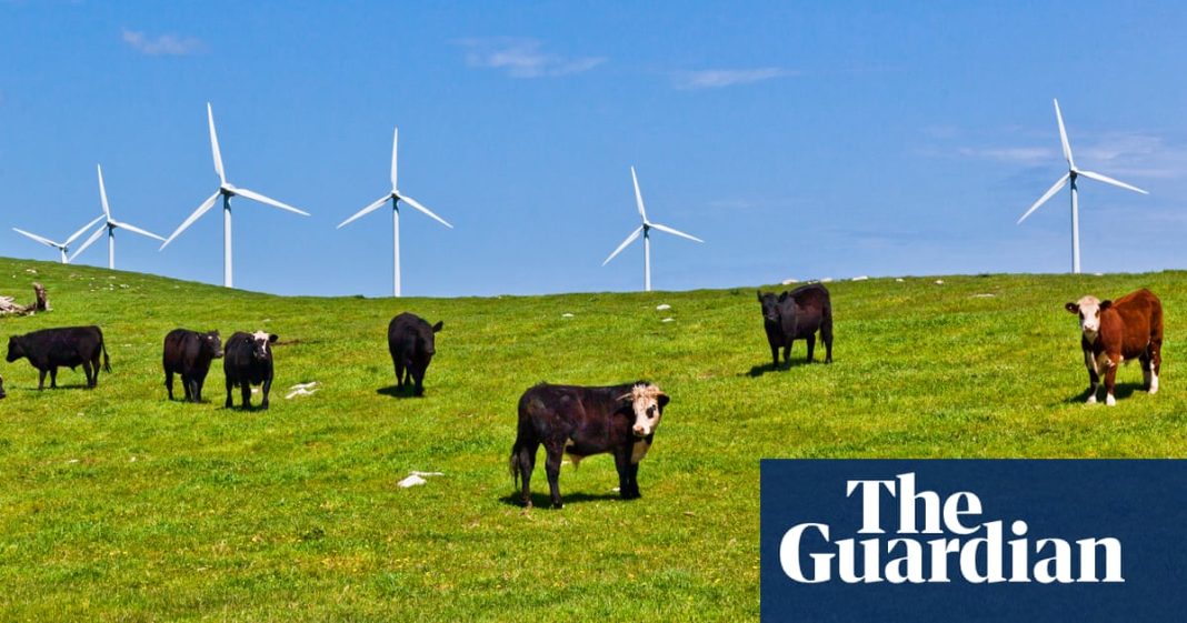 No se trague la afirmación, difundida por la Coalición y los medios conservadores, de que los ecologistas 