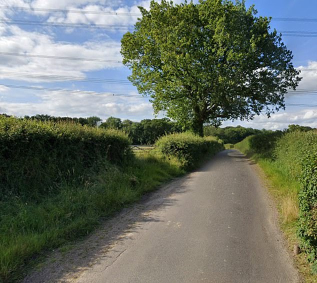 Allison Payne, de 55 años, paseaba a su perro por un campo de vacas agresivas en West Sussex, cerca de donde vivía.