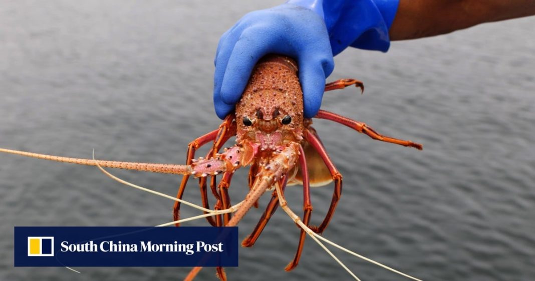 Paul Chan de Hong Kong pide más comercio con Australia más allá de langostas y vino
