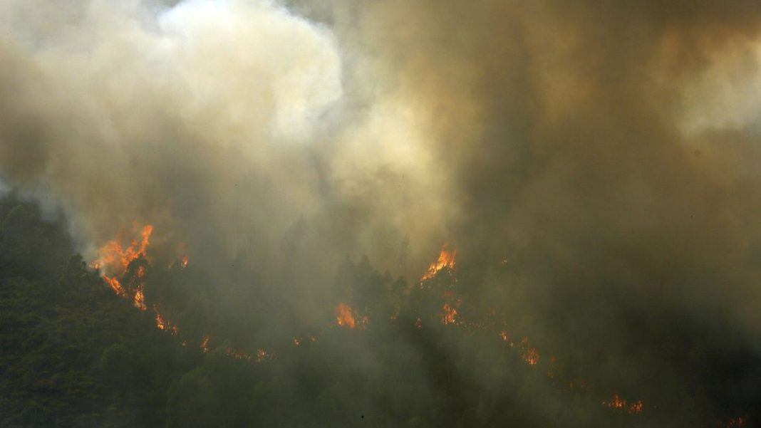 Se celebra el funeral de tres bomberos fallecidos en los recientes incendios en Portugal
