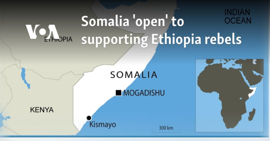 Somalia, abierta a apoyar a los rebeldes etíopes
