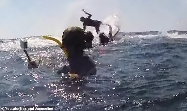 La semana pasada, una ballena arrojó a un guía turístico fuera del océano en Gold Coast, Queensland.