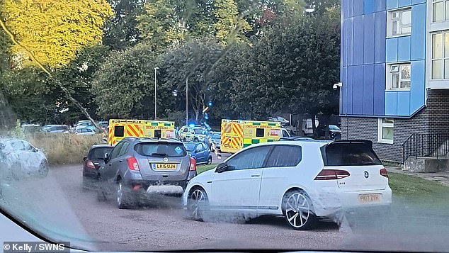 Presencia policial en un bloque de viviendas en Luton, Bedfordshire, donde se descubrieron tres personas muertas en la mañana del 13 de septiembre de 2024