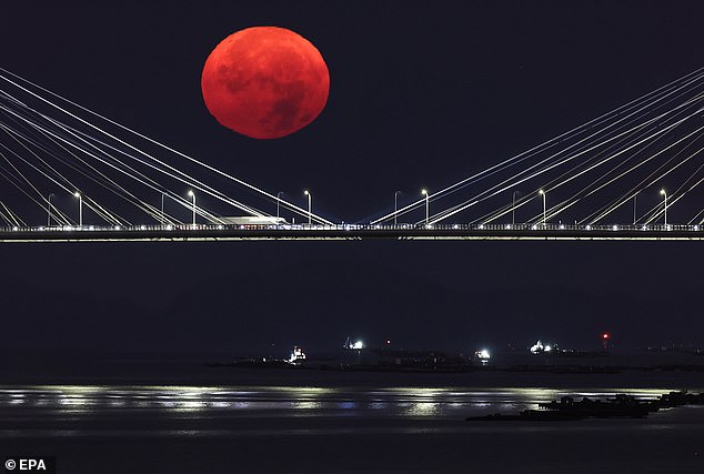 La luna brillará de un rojo sangre debido a que solo recibe la luz solar que ha atravesado la atmósfera terrestre. En la imagen se ve la Luna de la Cosecha de 2024 sobre España