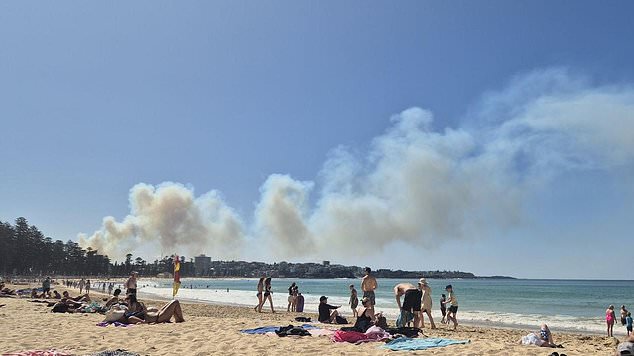 Un incendio forestal ha sido declarado fuera de control en Oxford Falls (se ve humo en la playa de Manly)