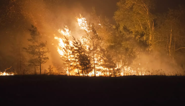 Un enorme incendio forestal arrasa la región de Donetsk en medio de bombardeos rusos
