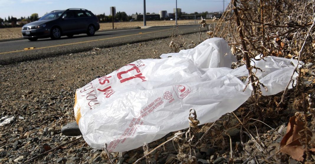 Un estado de EE.UU. prohíbe totalmente las bolsas de plástico para la compra
