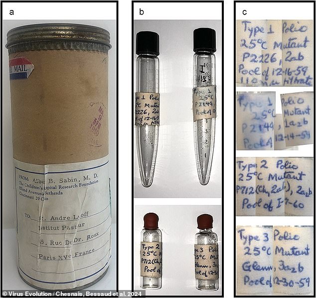 Arriba, frascos de mediados del siglo XX con antiguas cepas de polio que fueron utilizadas por el Instituto Pasteur en su nuevo estudio que intentaba rastrear los orígenes del inusual caso de polio WIV14 en China.