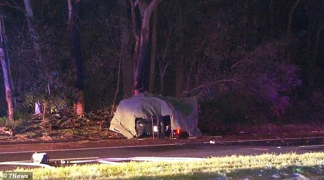 Dos personas murieron después de que un automóvil se estrellara contra un árbol antes de ser envuelto en llamas