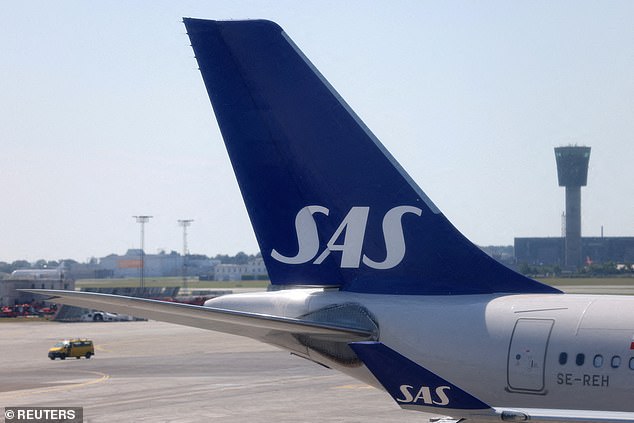 Un vuelo de Scandinavian Airlines se vio obligado a desviarse después de que se encontró un ratón en la comida a bordo de un pasajero