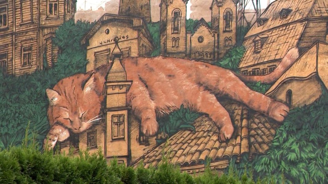 Video. Mural letón muestra un gato rojo llamado Peach
