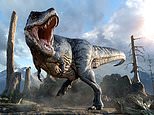 ¿Cómo te compararías con el T. Rex? El gráfico interactivo revela el tamaño REAL de los dinosaurios. ¡Te sorprenderá lo pequeñas que eran algunas especies!
