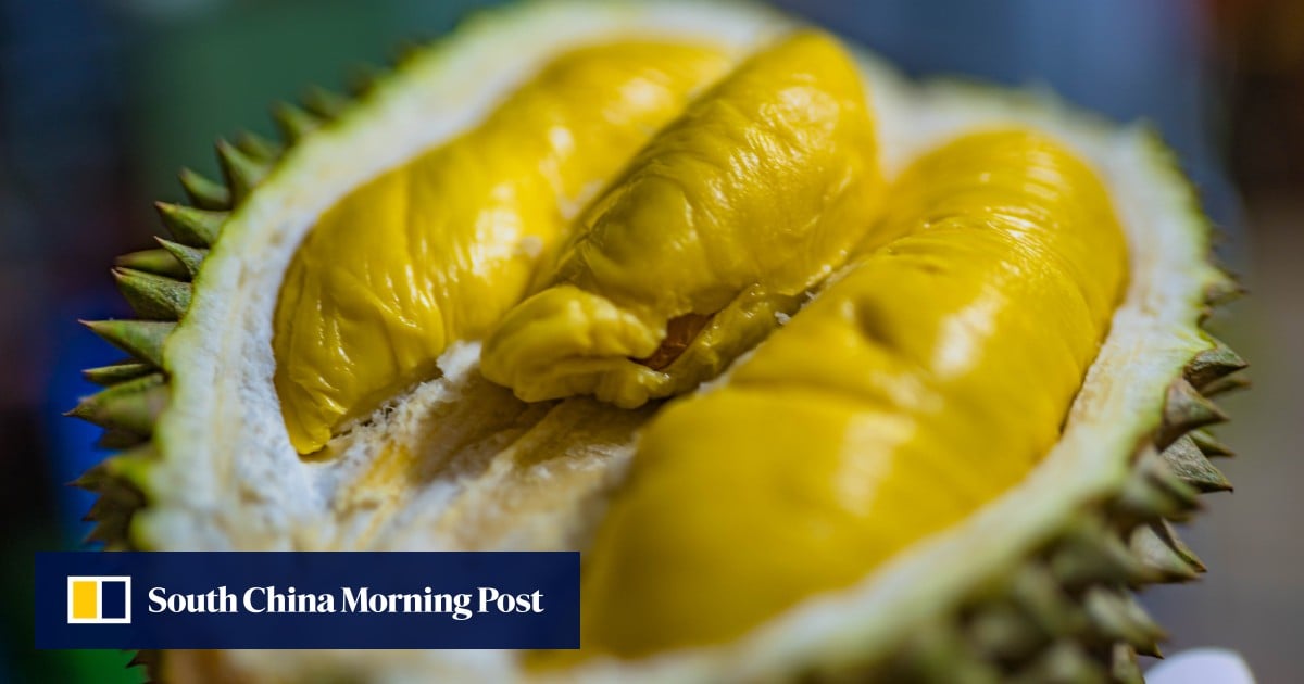 ¿La renovación de Malasia de la marca durian causará un mal olor en China o ayudará a las ventas?
