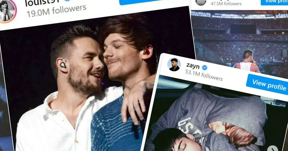 Compañeros de One Direction 'completamente devastados' tras su muerte por shock
