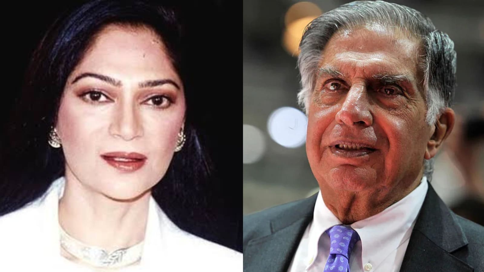 Cuando el difunto Ratan Tata fue descrito como una "persona ideal" por su antiguo amor Simi Garewal: "Él es mucho más..."
