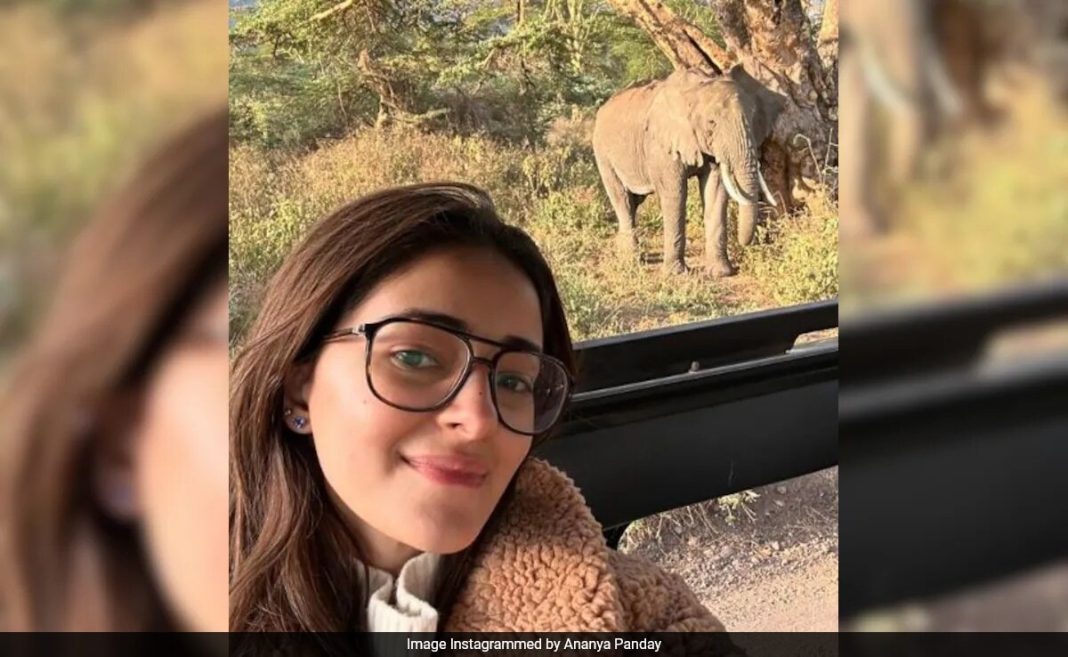 Dentro del safari por la jungla de Ananya Panday en Tanzania: 