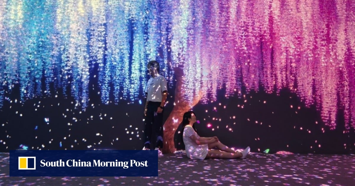 El Museo de Arte de Corea del Sur cerrará su puesto de avanzada en Hong Kong y se trasladará a Shenzhen
