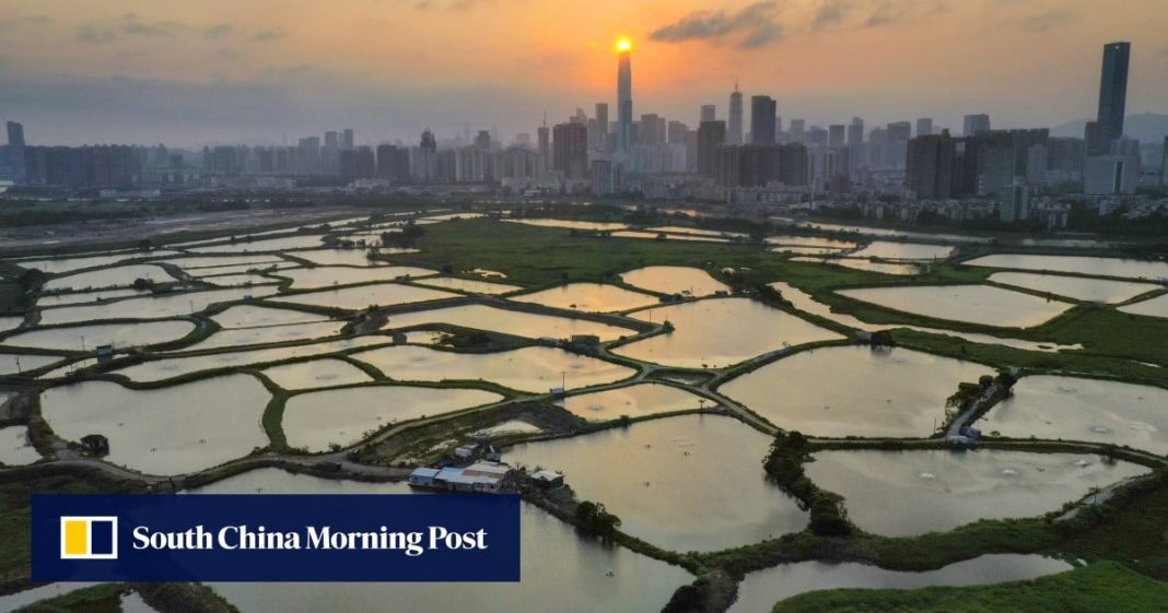 El informe expone la visión para los parques de humedales en la metrópoli del norte de Hong Kong
