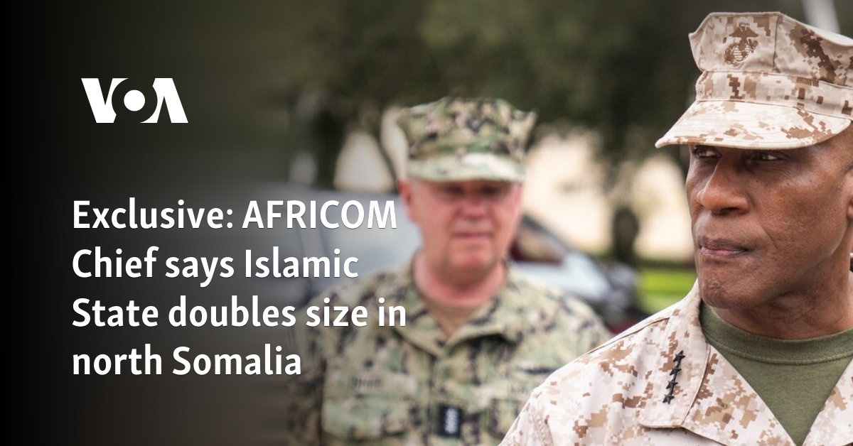 El jefe de AFRICOM dice que Estado Islámico duplica su tamaño en el norte de Somalia
