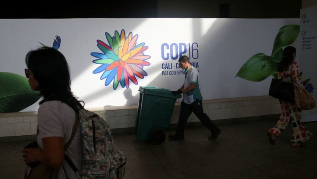 El mundo se retrasa en los objetivos de naturaleza para 2030 de cara a las conversaciones de la COP16 de la ONU
