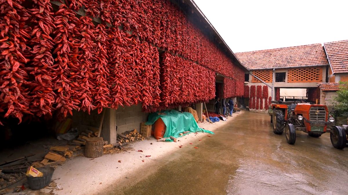 Explore el pueblo rojo de Donja Lokošnica en Serbia y la artesanía de alfombras Pirot, declarada Patrimonio de la Humanidad por la Unesco
