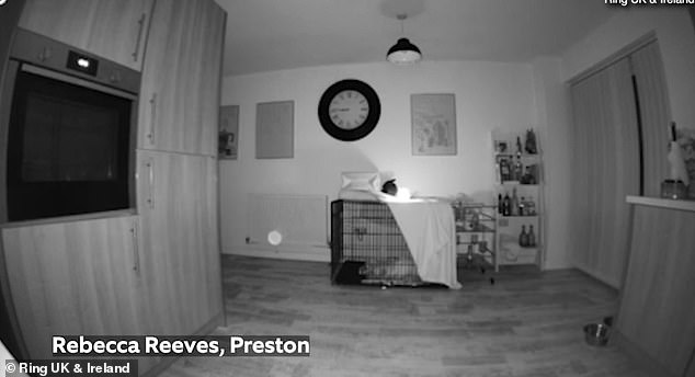 'Fantasma' es captado en un timbre Ring con detalles escalofriantes: mientras el misterioso orbe se desliza a través de una cocina en Preston
