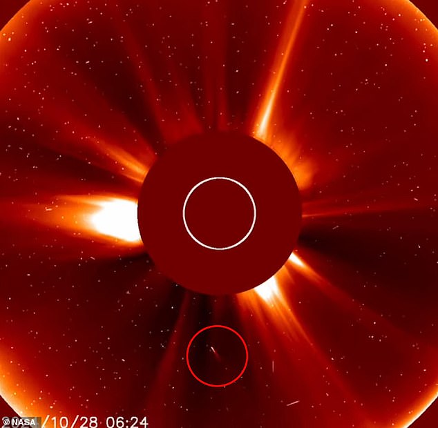 El Observatorio Solar y Heliosférico de la NASA (SOHO) fue testigo de los momentos finales del 'Gran Cometa de Halloween' mientras se acercaba al sol.