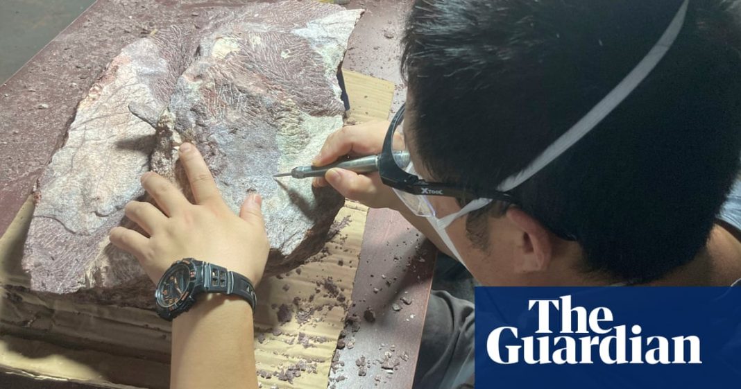 Hong Kong descubre sus primeros fósiles de dinosaurio
