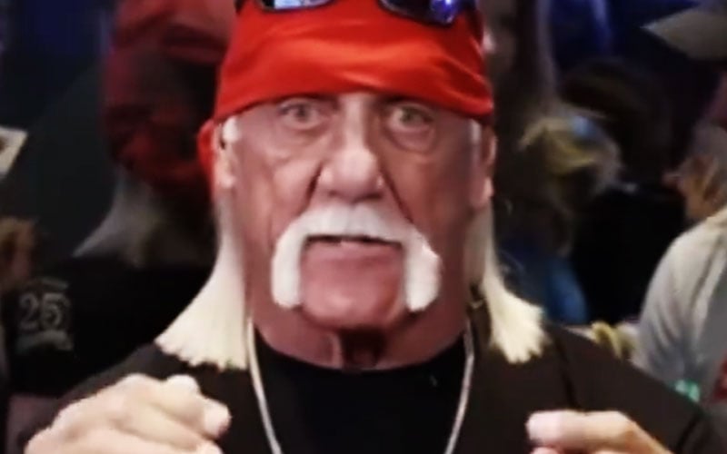 Hulk Hogan genera controversia con comentarios sobre los roles tradicionales de género durante el respaldo de Trump
