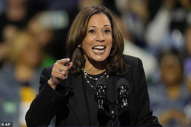 La vicepresidenta Kamala Harris describió al expresidente Donald Trump como 