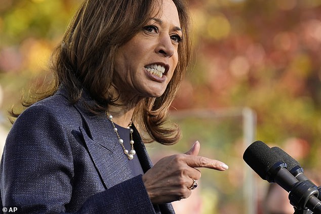 La vicepresidenta candidata presidencial demócrata, Kamala Harris, habla en un evento de campaña en el Parque Histórico Washington Crossing, el miércoles 16 de octubre de 2024, en Washington Crossing.