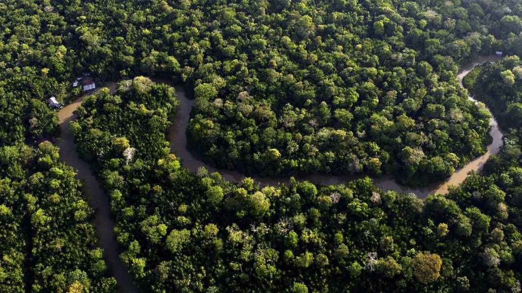 La Comisión de la UE retrasa la implementación de la ley de deforestación debido a la presión global
