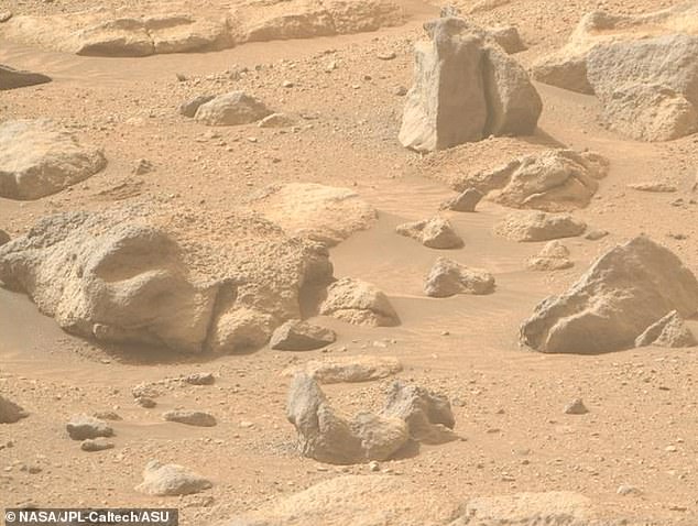 El rover Perseverance Mars de la NASA ha tomado una fotografía de una roca que se asemeja a un rostro humano (izquierda) en la superficie del planeta rojo.