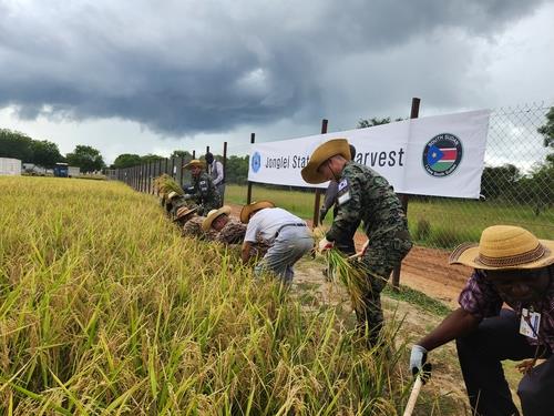 S. Korea's Hanbit unit takes part in rice harvesting in South Sudan