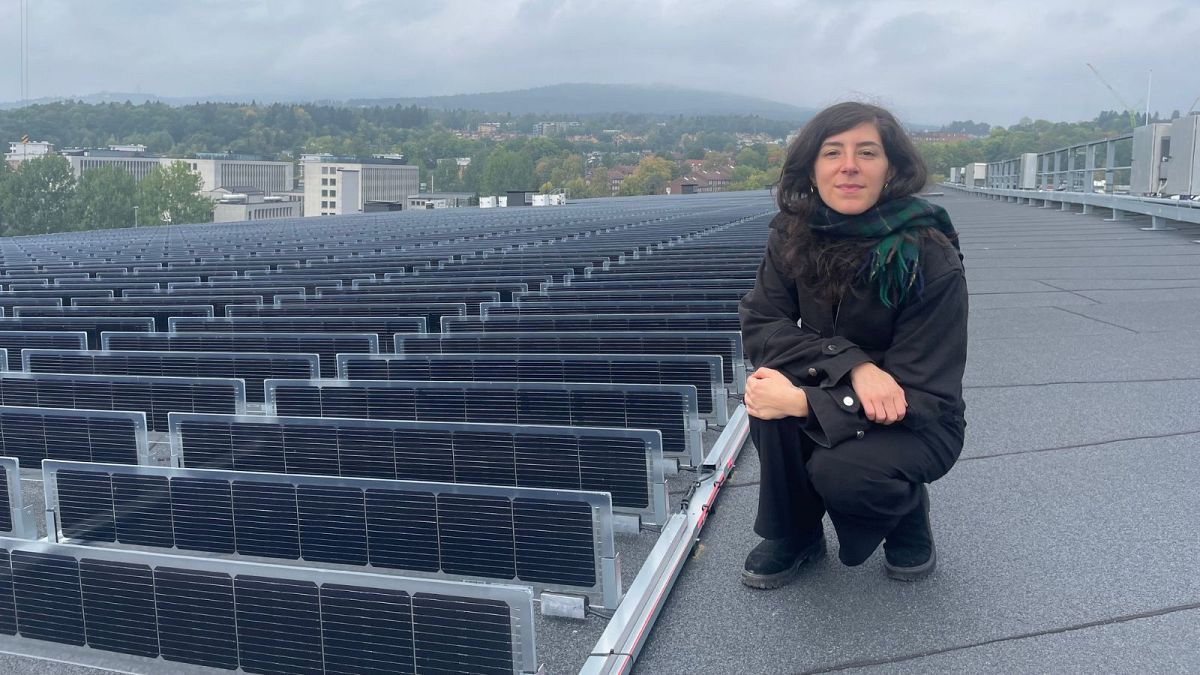 La vista desde el tejado solar vertical más grande del mundo
