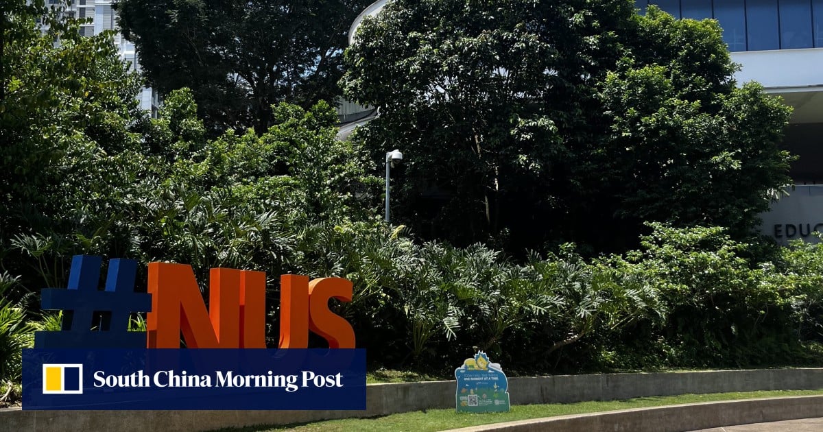 Las mamás tigre de China pasan vacaciones en universidades de Singapur para brindarles a los niños una ventaja
