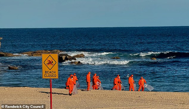 Otras dos playas de Sídney han sido cerradas al público después de que bolas de alquitrán negro aparecieran a lo largo de la costa. En la foto se muestra la playa de Coogee.