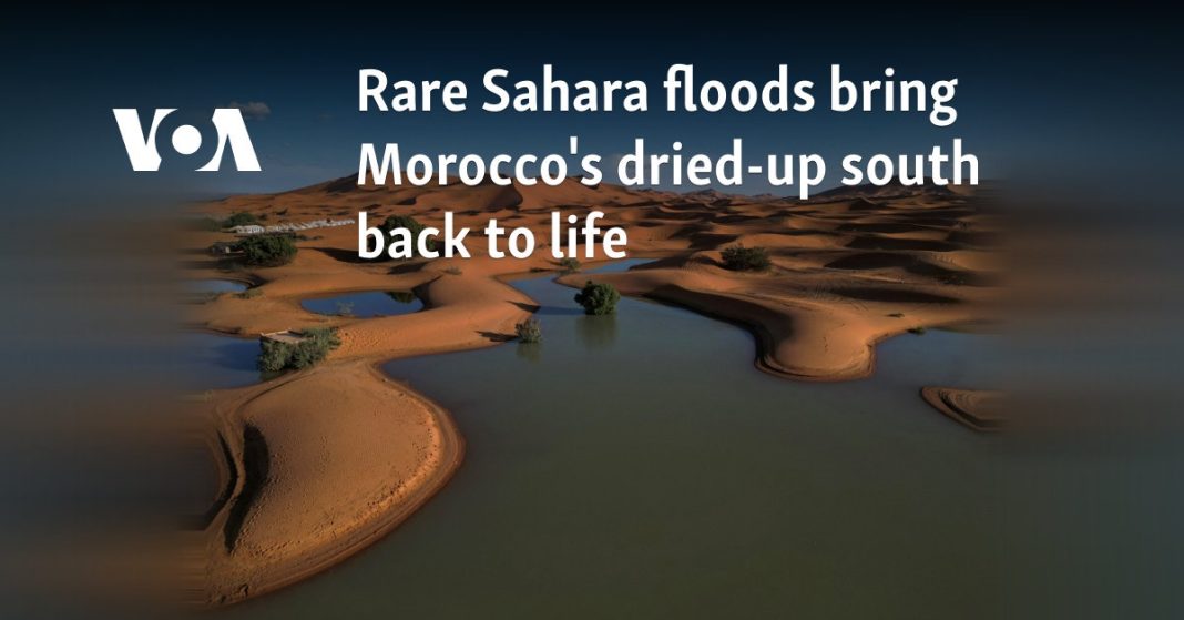 Las raras inundaciones del Sáhara devuelven la vida al seco sur de Marruecos
