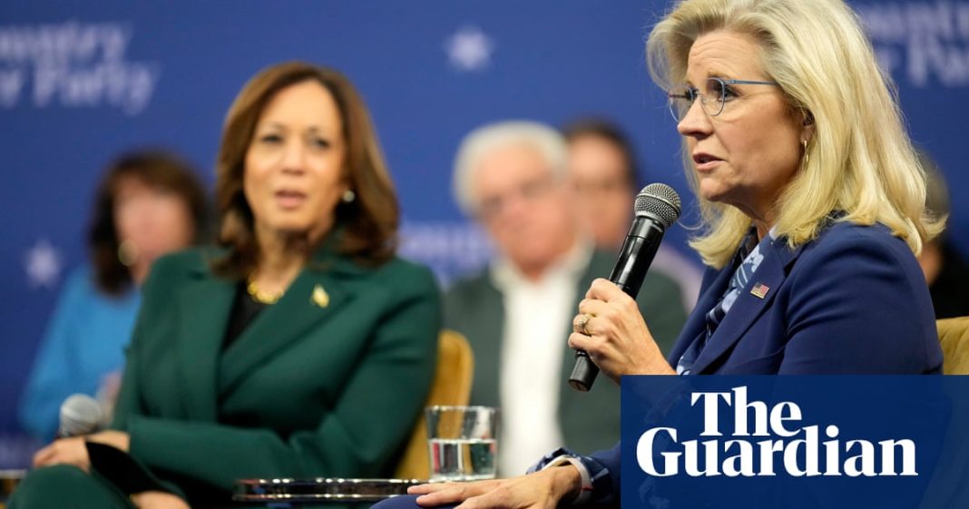 Liz Cheney insta a los conservadores a respaldar a Kamala Harris sobre el aborto
