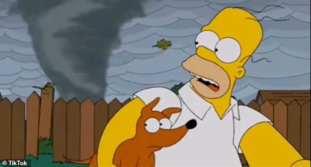 Los fanáticos de Los Simpson dicen que el programa ha presagiado la devastación infligida por los huracanes que azotan Florida.