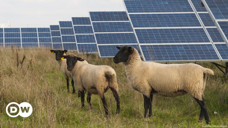 Los gases de efecto invernadero de la UE cayeron drásticamente en 2023
