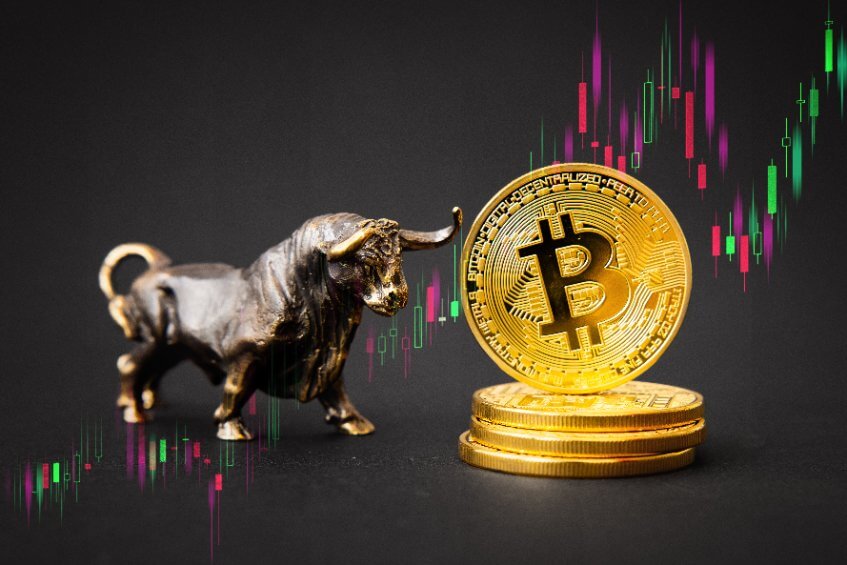 Los inversores miran a Bitcoin Dogs mientras BTC vuelve a probar los $64k - CoinJournal
