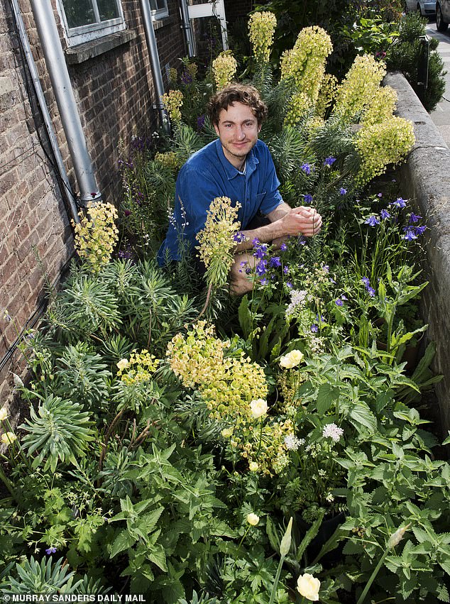 El jardín de Avanade diseñado por Tom Massey (arriba) y Je Ahn podrá indicar a los jardineros si es conveniente regar (ya que va a llover más tarde ese día) o si el agua ya está lo suficientemente húmeda. El jardín está en colaboración con Microsoft.