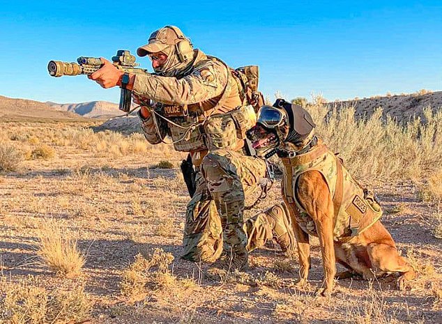 Los perros de guerra británicos pronto llegarán al frente con nuevos chalecos de combate y gafas como parte de una mejora del kit de £ 3,1 millones.